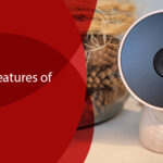 The Most Prominent Features of the Nest Cam