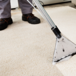 The Benefits of Hiring a Professional Company to Clean Your Home Carpets, Upholstery and Rugs
