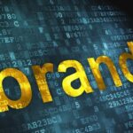 Elevate Your Brand Presence: A Comprehensive Review of Print4Display's Premium Products